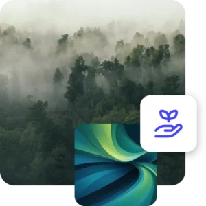 Collage of images, panoramic view of fog over the wild forest, abstract green background and icon symbolizing sustainability