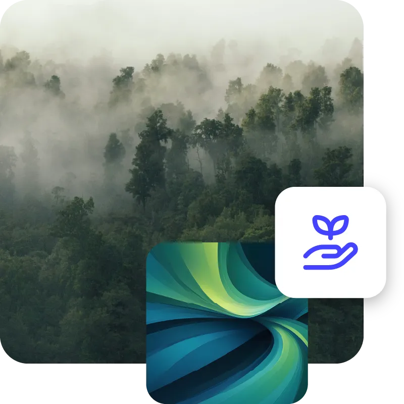 Collage of images, panoramic view of fog over the wild forest, abstract green background and icon symbolizing sustainability